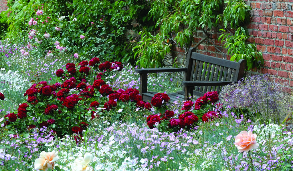 Cranborne Manor Garden