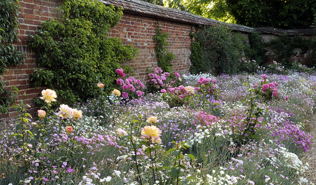 Cranborne Manor Garden